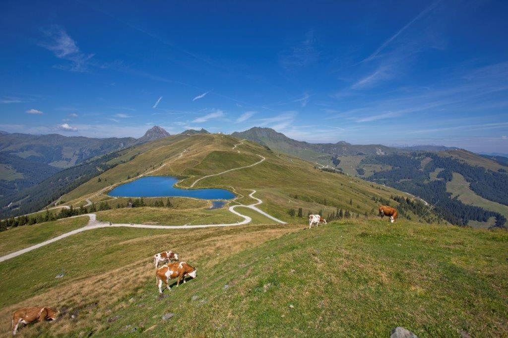 ホテル Garni Roesslhof ホラースバッハ・イム・ピンツガウ エクステリア 写真
